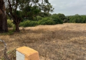 Terreny no urbanitzable en venda a la España, Vejer de la Frontera, ref.: TR123257 foto