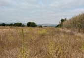 Terreny no urbanitzable en venda a la España, Vejer de la Frontera, ref.: TR123257 foto