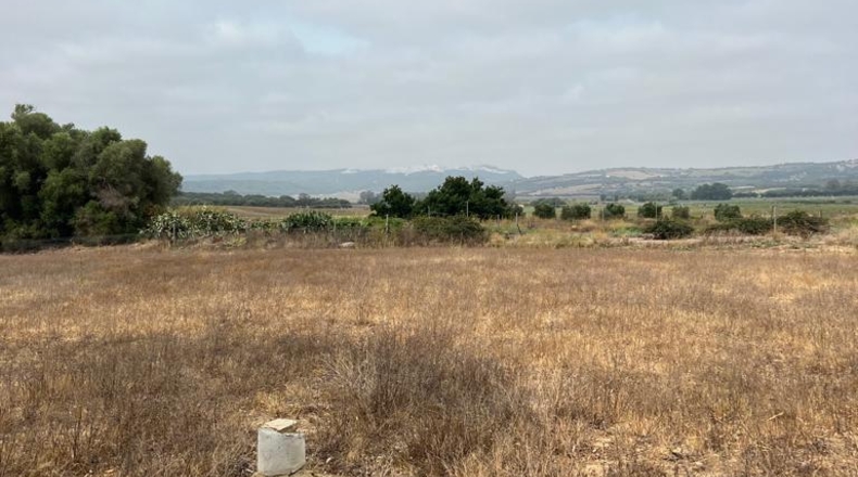 Cádiz - Vejer de la Frontera - 15379m2