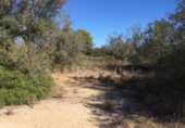 Sòl urbà en venda a la España, el Perelló, ref.: TR123616 foto