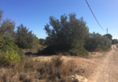 Sòl urbà en venda a la España, el Perelló, ref.: TR123616 foto