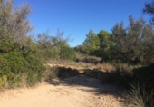 Sòl urbà en venda a la España, el Perelló, ref.: TR123616 foto