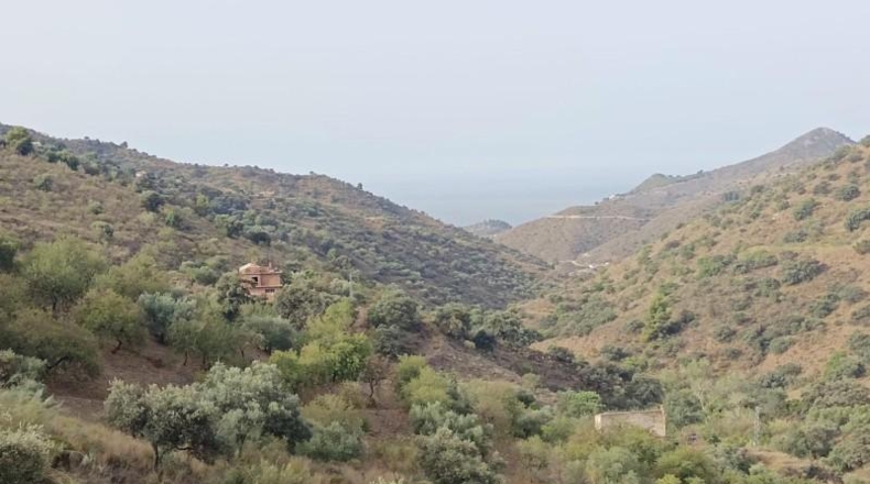 Málaga - Málaga - 40000m2