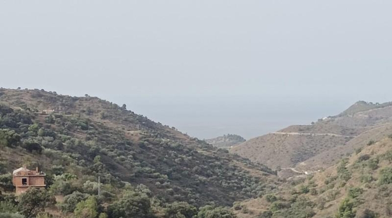 Málaga - Málaga - 40000m2