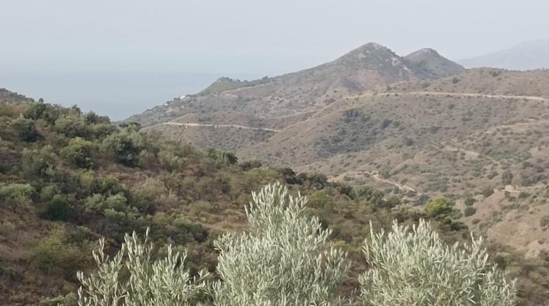 Málaga - Málaga - 40000m2