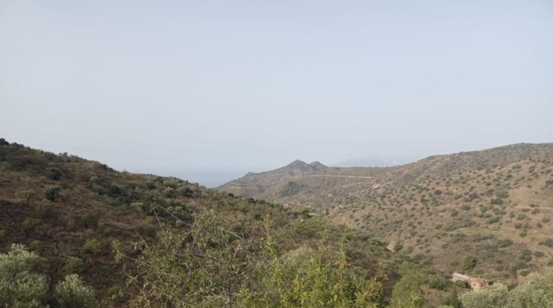 Málaga - Málaga - 40000m2