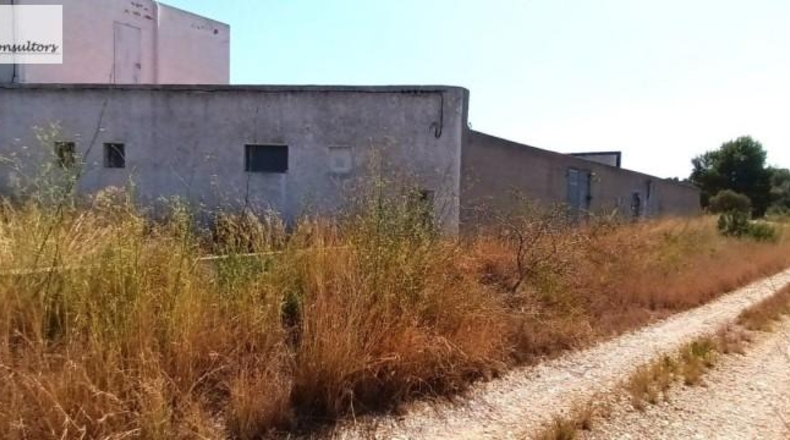 Castellón - Torreblanca - 830m2