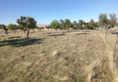 Casa de camp amb terreny en venda a la España, Malpartida de Cáceres, ref.: TR136953 foto