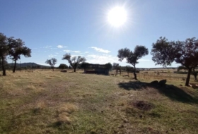 Malpartida de Cáceres 65&nbsp;m²