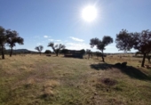 Casa de camp amb terreny en venda a la España, Malpartida de Cáceres, ref.: TR136953 foto