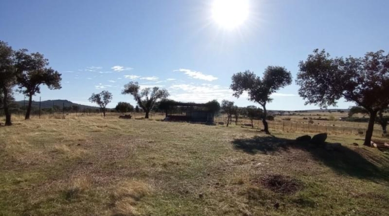 Cáceres - Cáceres - 65m2