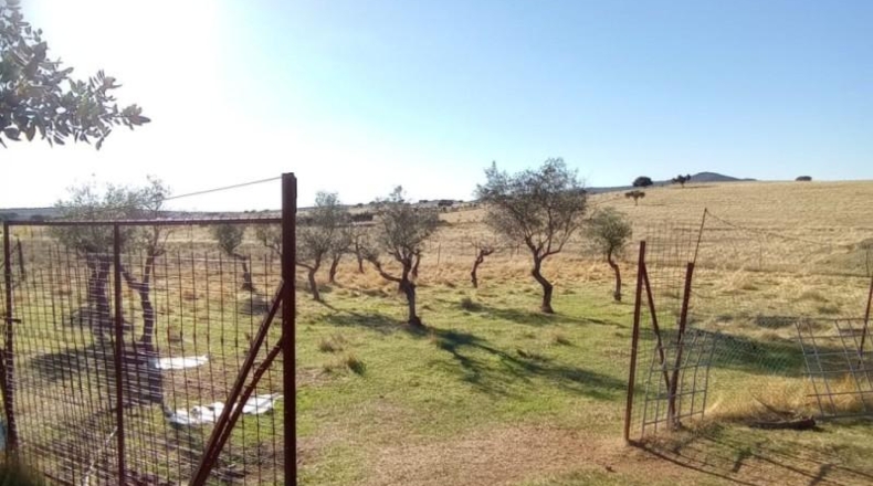 Cáceres - Cáceres - 65m2