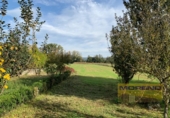 Casa de camp amb terreny en venda a la España, Vilar de Sarria, ref.: TR137094 foto