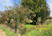 Casa de camp amb terreny en venda a la España, Vilar de Sarria, ref.: TR137094 foto