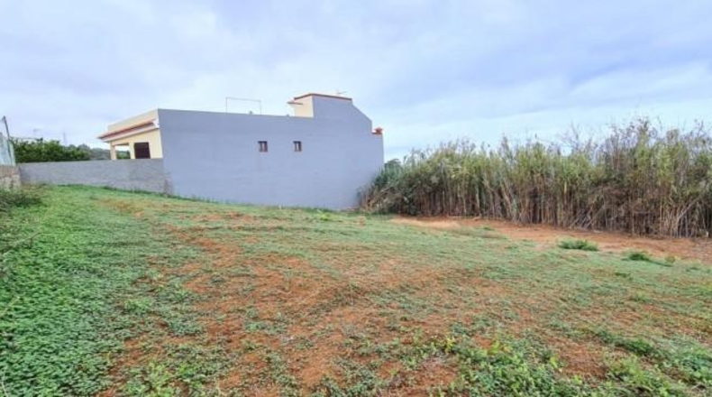 Santa Cruz de Tenerife - Tacoronte - 900m2