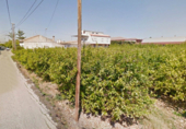 Non-developable land for sale on España, Murcia, ref: TR116757 photo