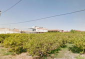Non-developable land for sale on España, Murcia, ref: TR116757 photo