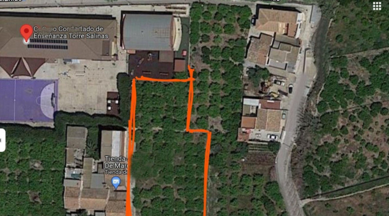 Múrcia - Murcia - 1800m2