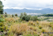 Parcel·la urbanitzable en venda a la España, Xaló, ref.: TR116925 foto