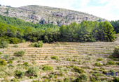 Parcel·la urbanitzable en venda a la España, Xaló, ref.: TR116925 foto