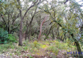 Parcel·la urbanitzable en venda a la España, Xaló, ref.: TR116925 foto