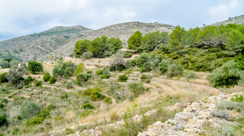 Alicante - Jalón - 10600m2