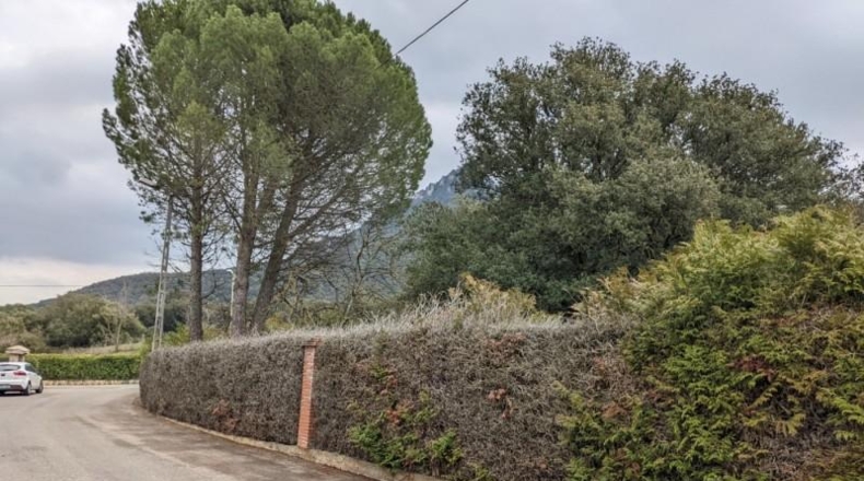 Navarra - Ayegui - 1000m2