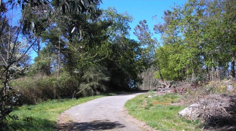 Pontevedra - Pazos de Borbén - 1455m2