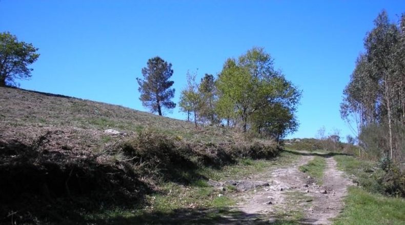 Pontevedra - Pazos de Borbén - 1455m2