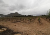 Finca rústica en venda a la España, Asp, ref.: TR298177 foto