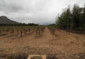 Finca rústica en venda a la España, Asp, ref.: TR298177 foto