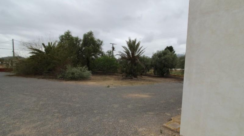Alicante - Aspe - 13000m2