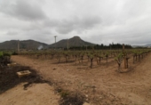 Finca rústica en venda a la España, Asp, ref.: TR298177 foto