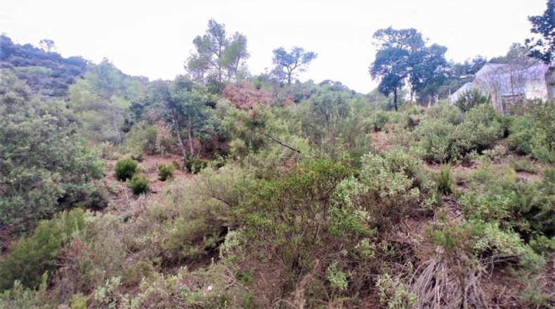 Barcelona - Matadepera - 2299m2