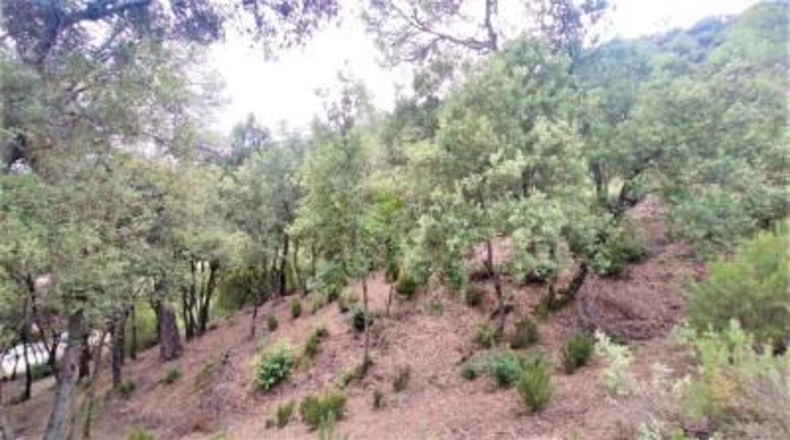 Barcelona - Matadepera - 2299m2