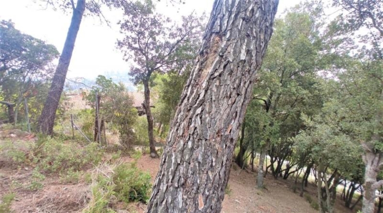 Barcelona - Matadepera - 2299m2