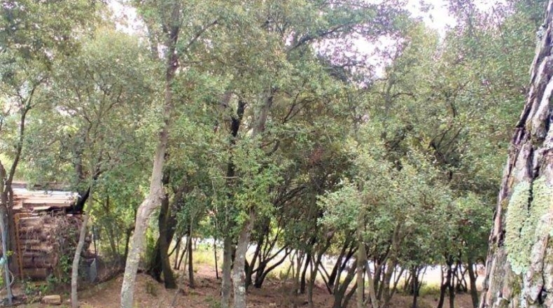 Barcelona - Matadepera - 2299m2