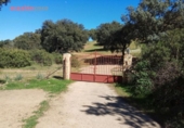 Xalet independent amb terreny en venda a la España, Villanueva del Duque, ref.: TR142141 foto