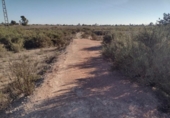 Terreny no urbanitzable en venda a la España, Elx, ref.: TR120483 foto