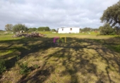 Casa de camp amb terreny en venda a la España, Badajoz, ref.: TR298324 foto