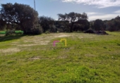 Casa de camp amb terreny en venda a la España, Badajoz, ref.: TR298324 foto