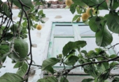 Sòl urbà en venda a la España, Icod de los Vinos, ref.: TR120946 foto