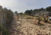 Terreny no urbanitzable en venda a la España, Chiclana de la Frontera, ref.: TR115253 foto