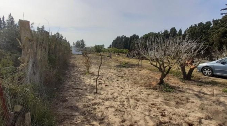Cádiz - Chiclana de la Frontera - 3600m2