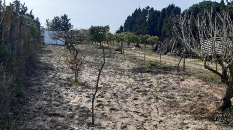 Cádiz - Chiclana de la Frontera - 3600m2