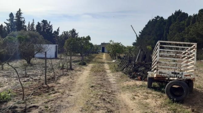 Cádiz - Chiclana de la Frontera - 3600m2