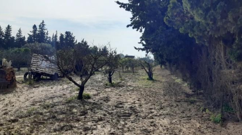 Cádiz - Chiclana de la Frontera - 3600m2