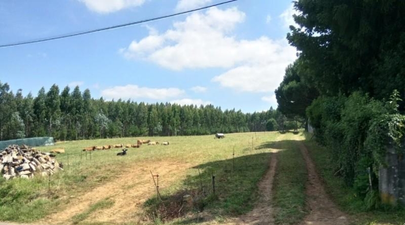 La Corunya - Ordes - 10961m2