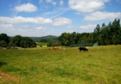 Sòl urbà en venda a la España, Ordes, ref.: TR115479 foto