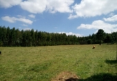 Sòl urbà en venda a la España, Ordes, ref.: TR115479 foto
